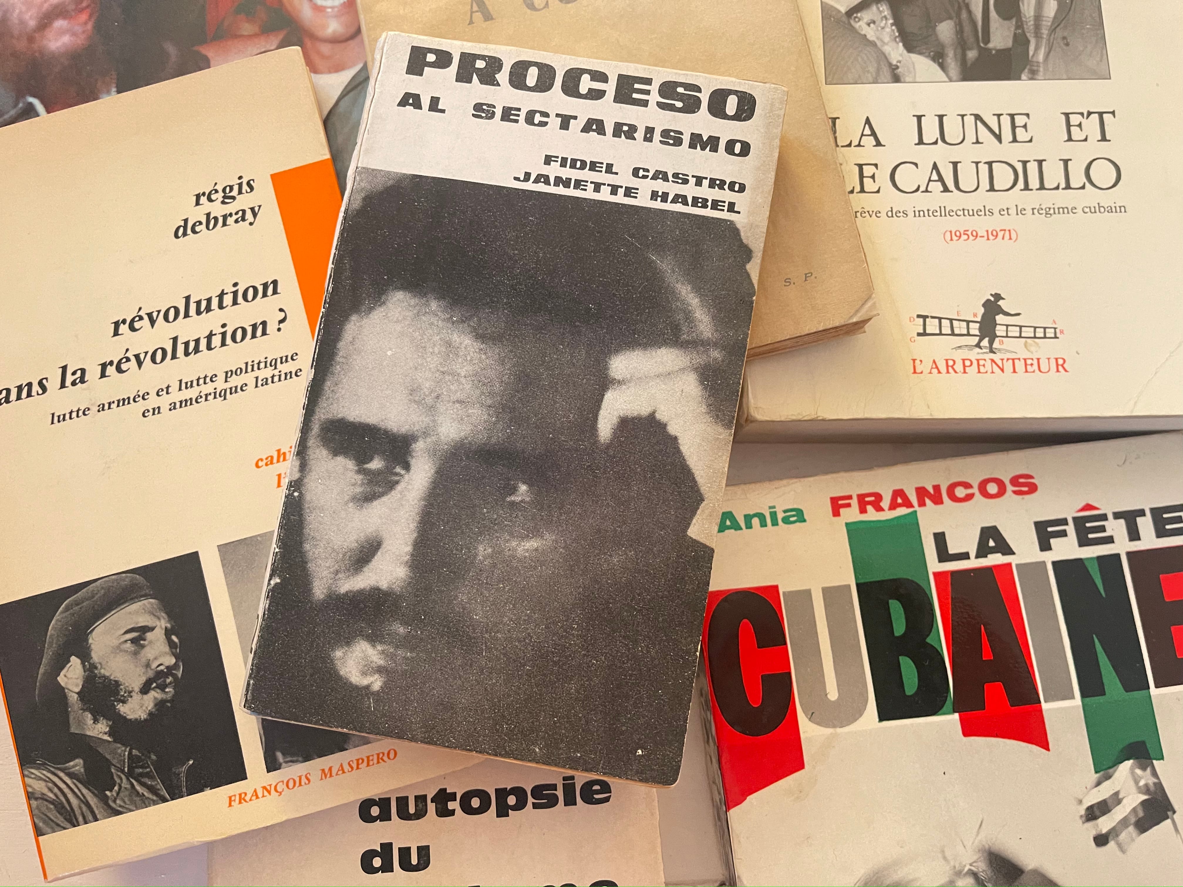 Le livre signé Fidel Castro et Janette Habel, publié en espagnol, est intitulé Proceso al sectarismo.