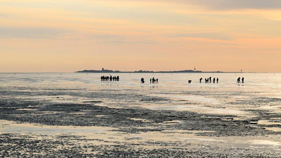 Nationalpark Niedersächsisches Wattenmeer: 