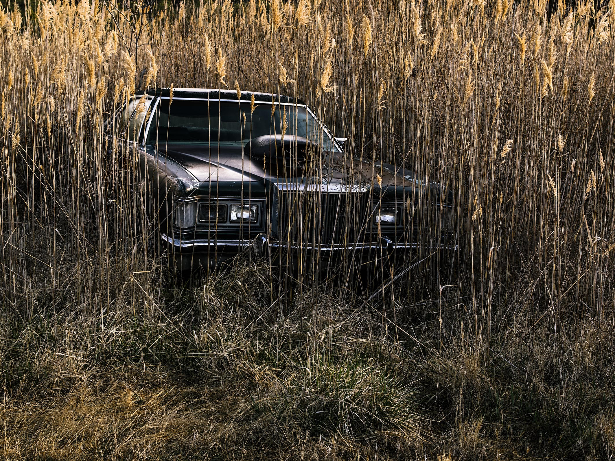 Les habitants quittent progressivement la région, comme en témoigne cette voiture abandonnée près de Deal Island. 