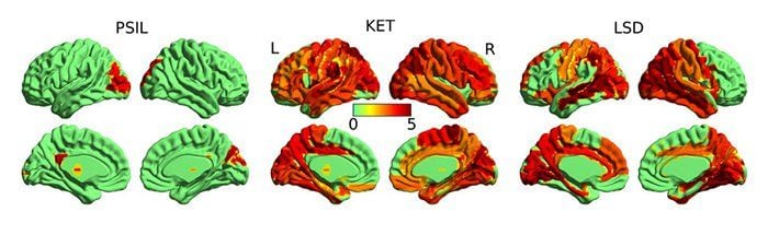 De gauche à droite : psilocybine (champignons hallucinogènes), kétamine et LSD. Le rouge indique une plus grande diversité de l'influx nerveux.