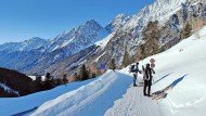 Bei der Schlittenabfahrt ins Tal geht’s gleich rasant zu.