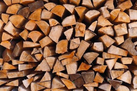 UK’s Saw Logs and Veneer Logs Market to Show Modest Growth with Anticipated CAGR of 0.7% – IndexBox, Inc.